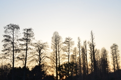 夕方