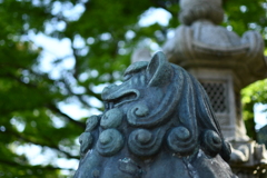 悠久の時を見つめて