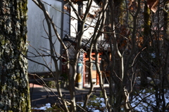 冬木立