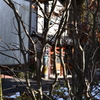 冬木立