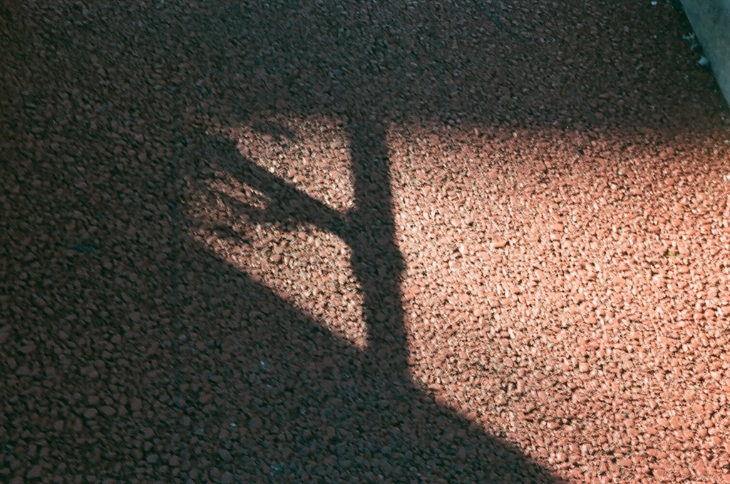 静04