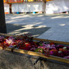 加藤神社