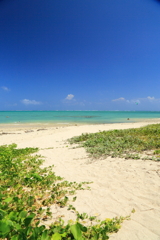 美ら海