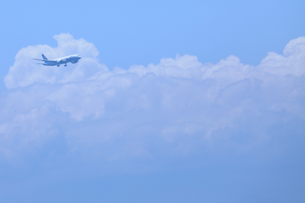 夏雲
