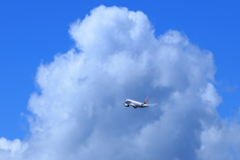 夏空へ向かって