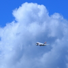 夏空へ向かって