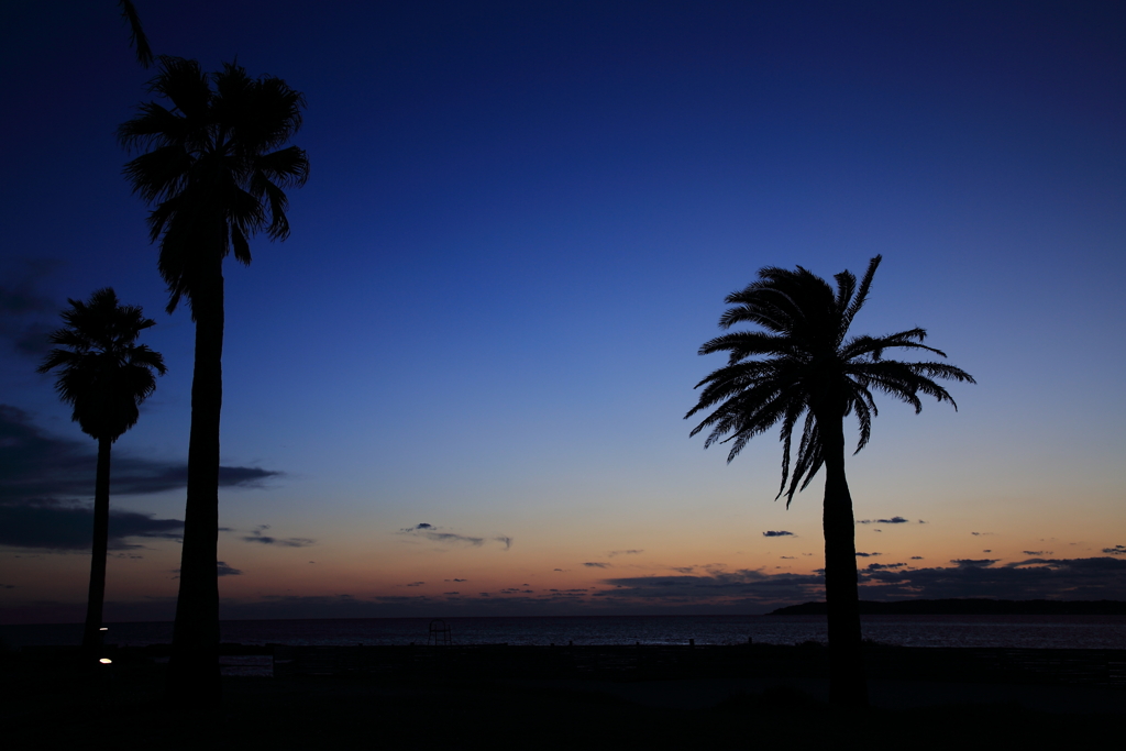 夕暮れ