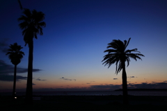 夕暮れ