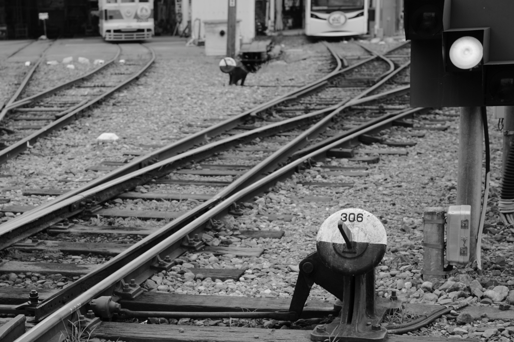 手動ポイント切替え