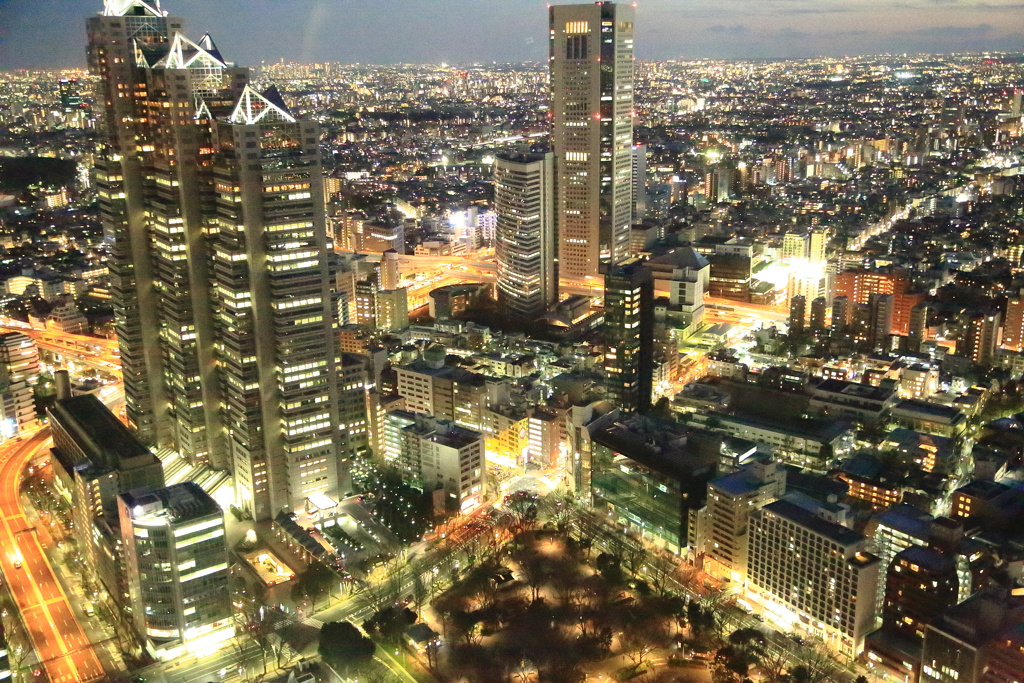 都庁からの夜景