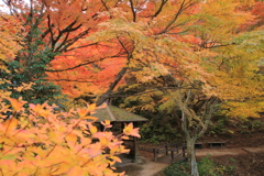 紅葉の中の休憩所
