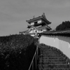 掛川城天守閣