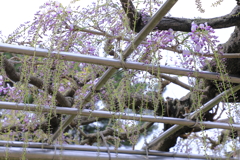 まだこれから