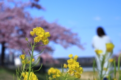遅めの春の訪れ