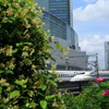 新幹線花道