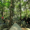 豊川稲荷4
