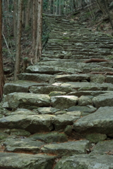 熊野古道2