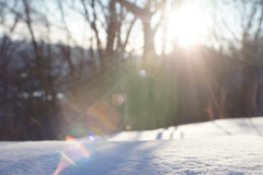 雪と太陽