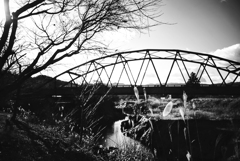 いつもの場所で自然に溶け込む