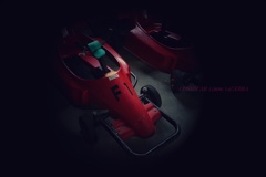 大人は乗れないF1…