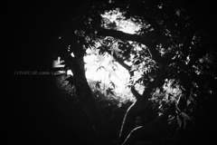 Silent Pulse…