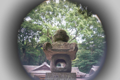 木々がざわめく力を宿りして…