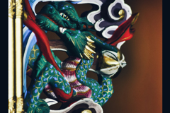 カメラ目線が素敵だった龍…