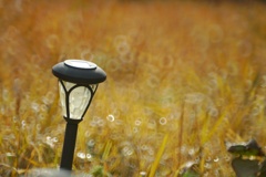 前日の雨で…
