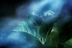 Time when the energy of life flows…