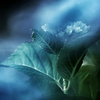 Time when the energy of life flows…