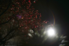 夜風を浴びて…
