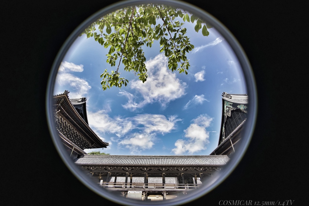 雲に浮いてるように感じた…通天橋