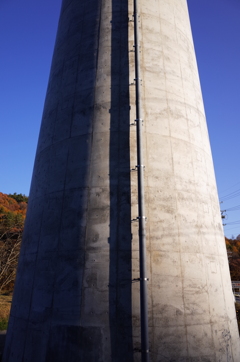 GR991061
