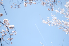 DSCF0064