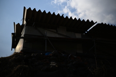 NZF_1021