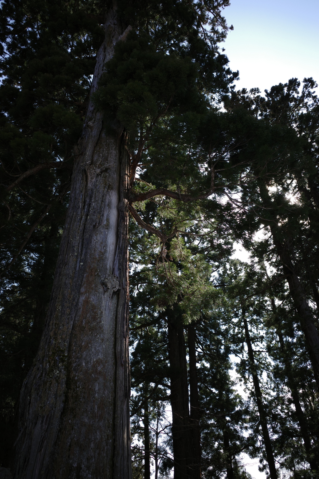 R0001508