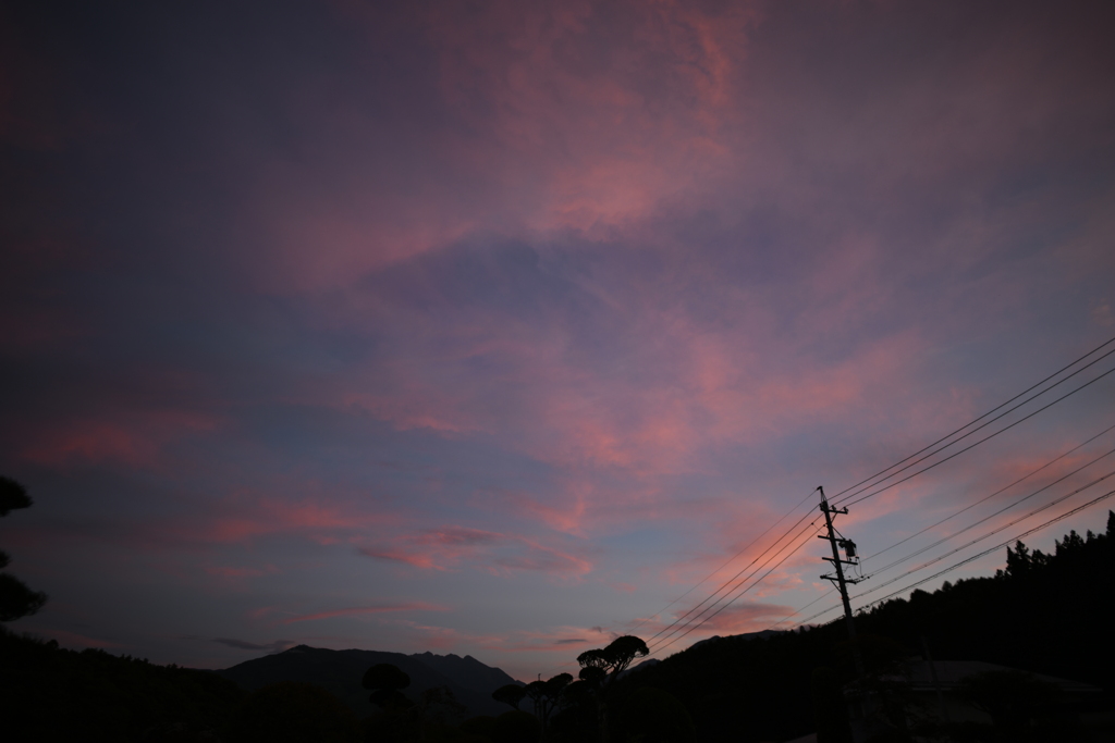 N85_0825