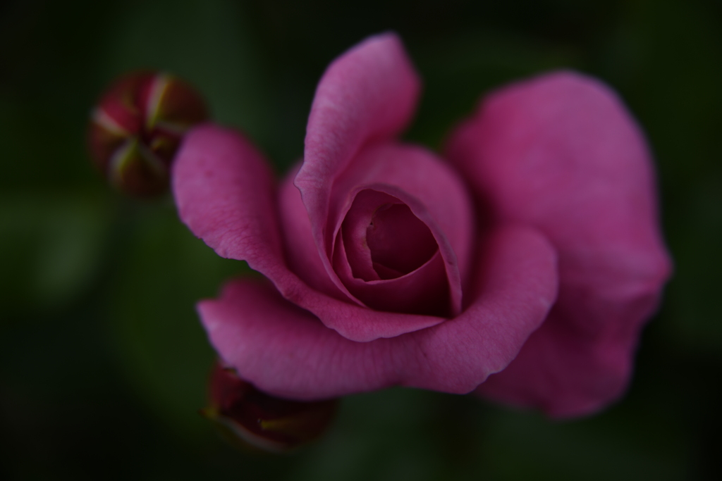 N85_0575