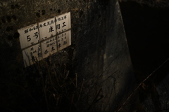 NZF_1049