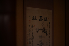 NZF_0639