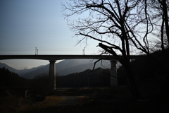 NZF_1073
