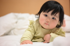 NZF_0733