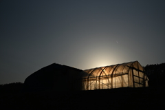 NZF_1116
