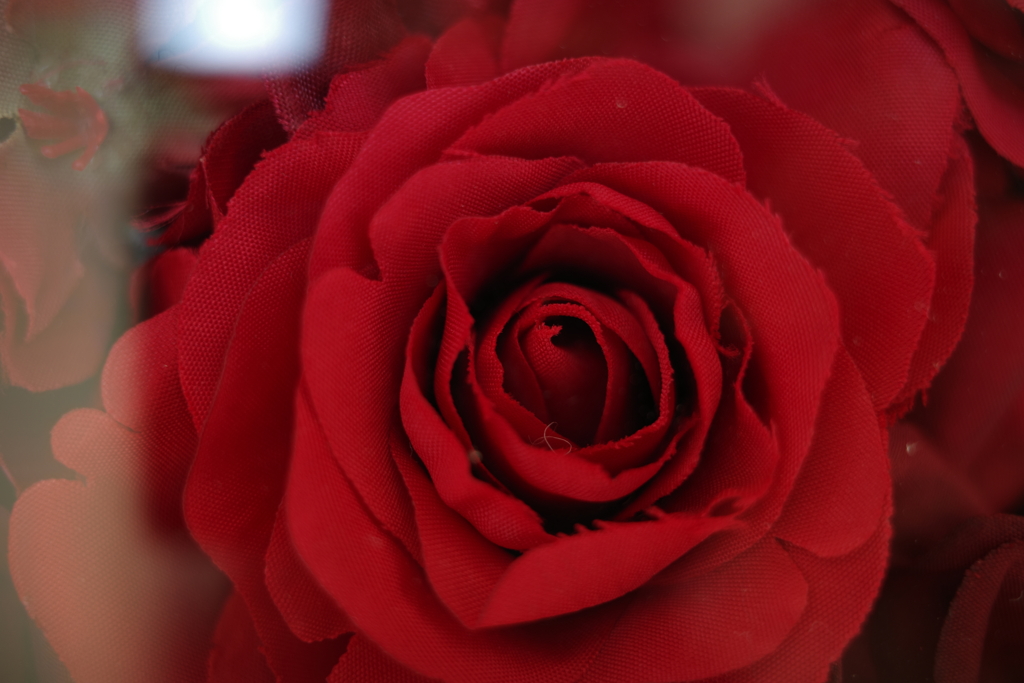 R0001585