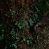 7R201466