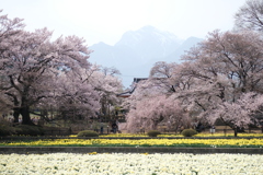 DSCF0028