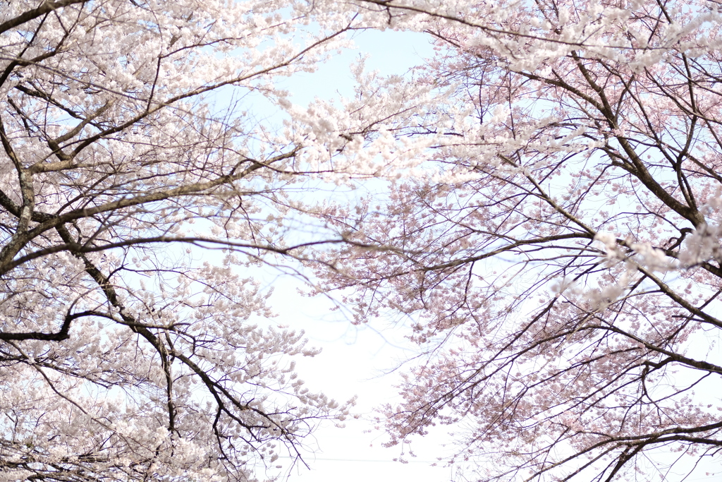 DSCF0063