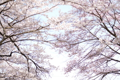 DSCF0063