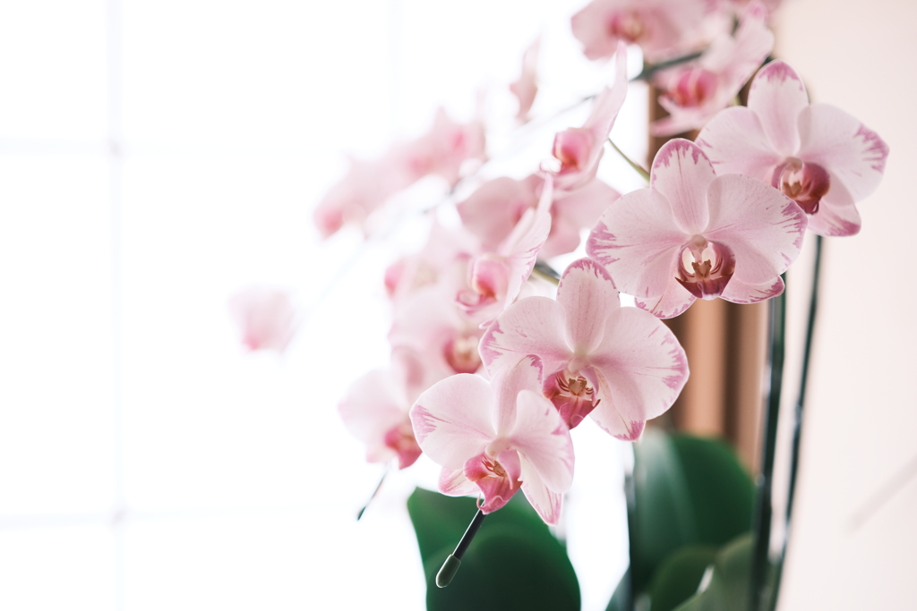 FUJIFILM_X-T5_6902528-6923600067