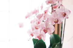 FUJIFILM_X-T5_6902528-6923600067